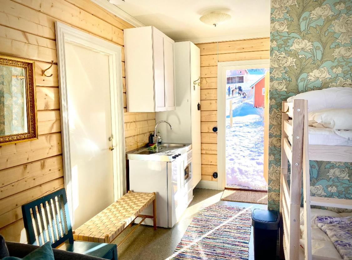 Scenic Small Guesthouse On Horse Farm By The Lake Froso Luaran gambar