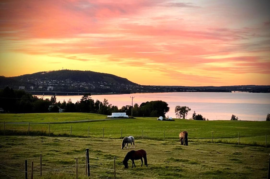 Scenic Small Guesthouse On Horse Farm By The Lake Froso Luaran gambar