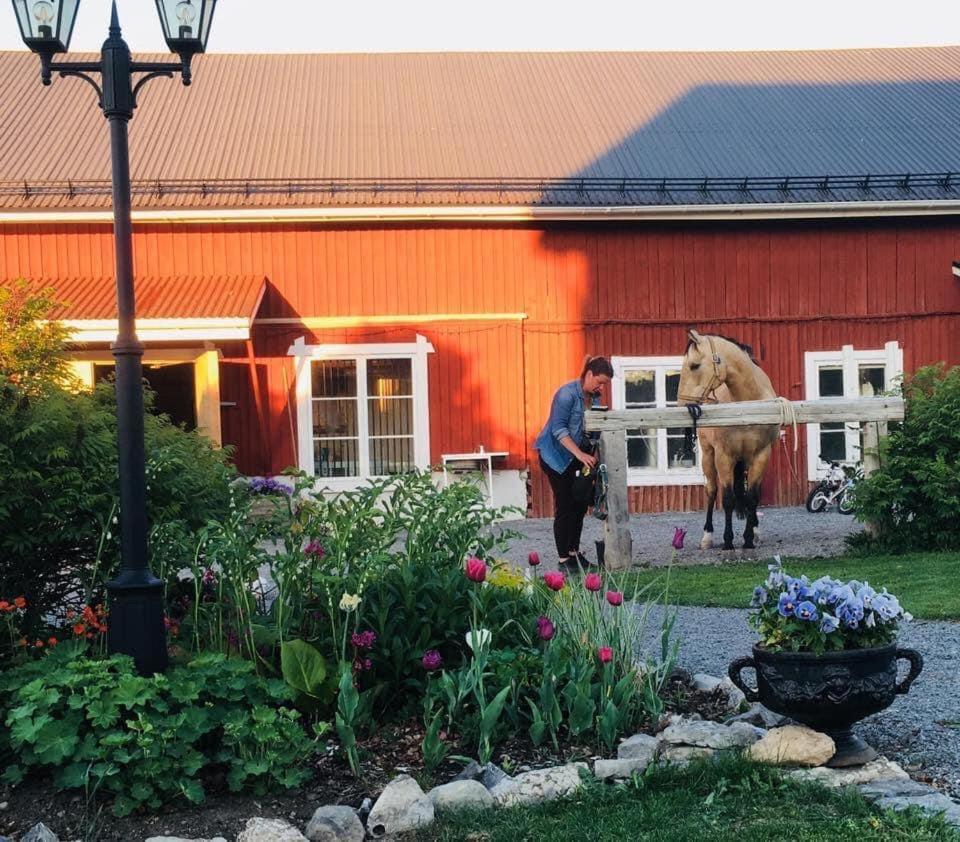 Scenic Small Guesthouse On Horse Farm By The Lake Froso Luaran gambar