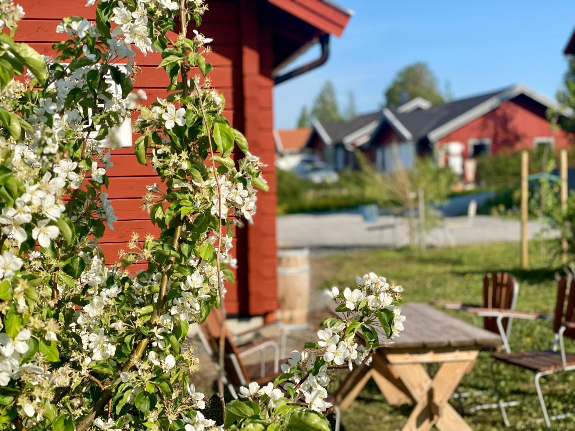 Scenic Small Guesthouse On Horse Farm By The Lake Froso Luaran gambar